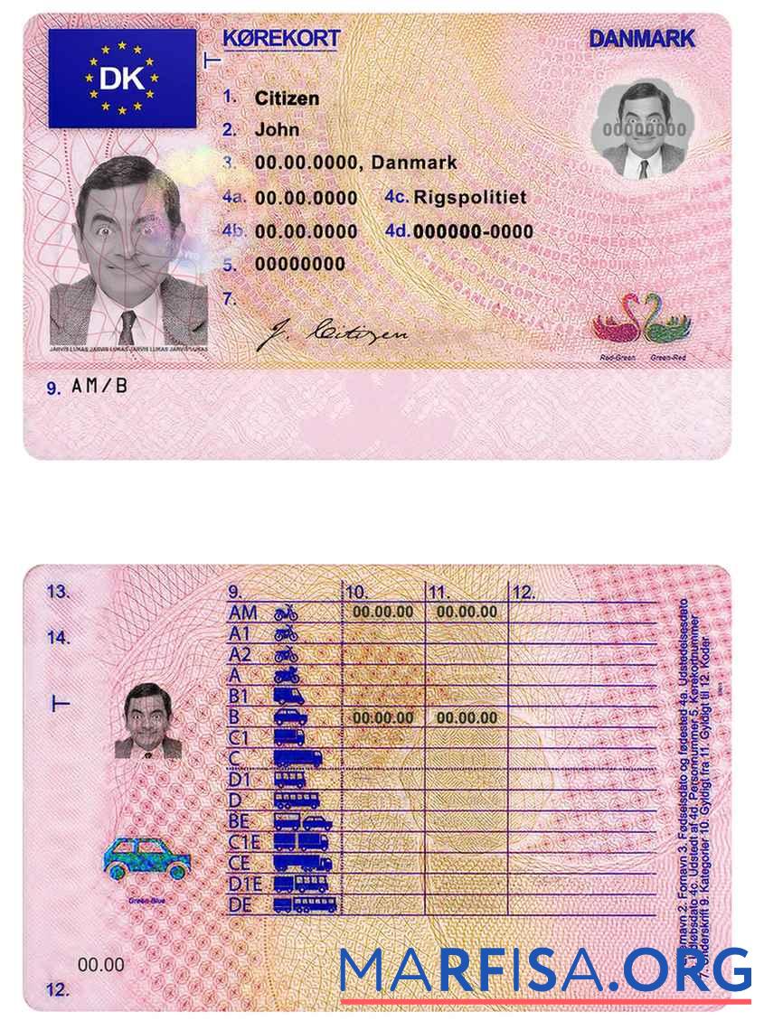 Downloadable Denmark DL example